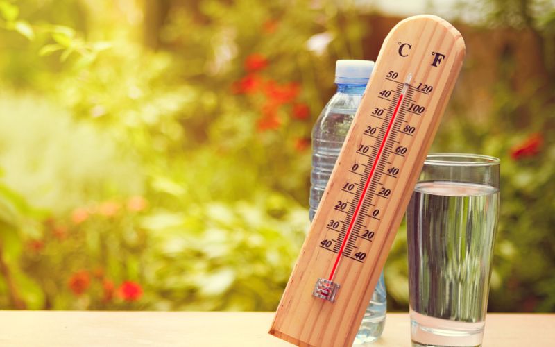 Vague de chaleur sur la France: à quoi s'attendre pour la fin de semaine?