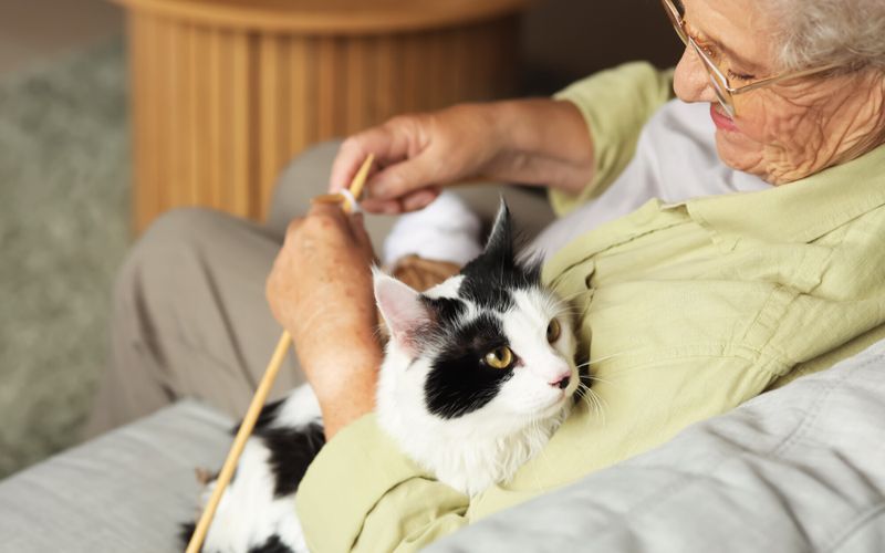 Ehpad: pouvez-vous vivre avec un animal de compagnie en maison de retraite?