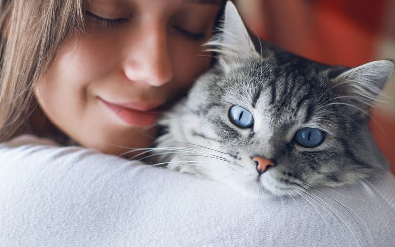 Hommes et animaux: des liens étroits depuis plus de dix mille ans!