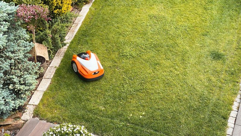 Comparatif robot tondeuse 2024 : trouvez le modèle parfait pour votre jardin