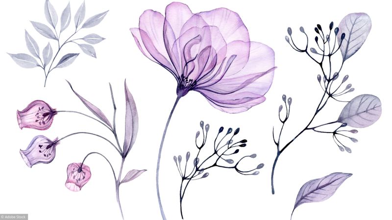 Débuter la peinture à l’aquarelle grâce à internet