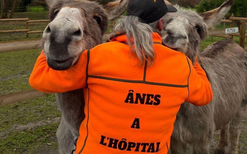 En Seine-Saint-Denis, cet hôpital psychiatrique utilise des ânes pour soigner ses patients