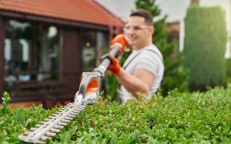 Jardinage: les bons réflexes en cas d'accident... et pour les éviter