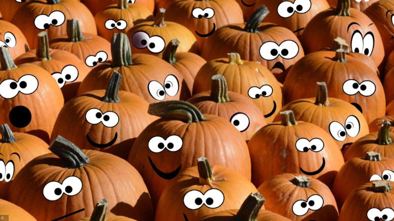 Jeu des différences: à vos citrouilles