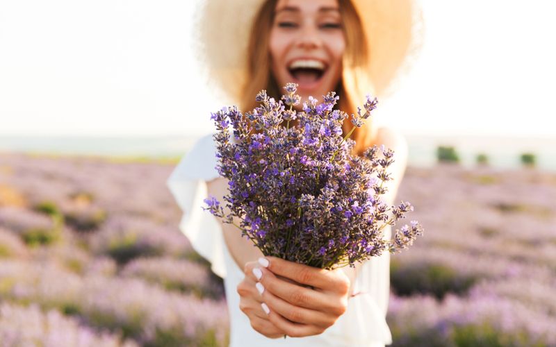3 plantes pour apaiser au naturel