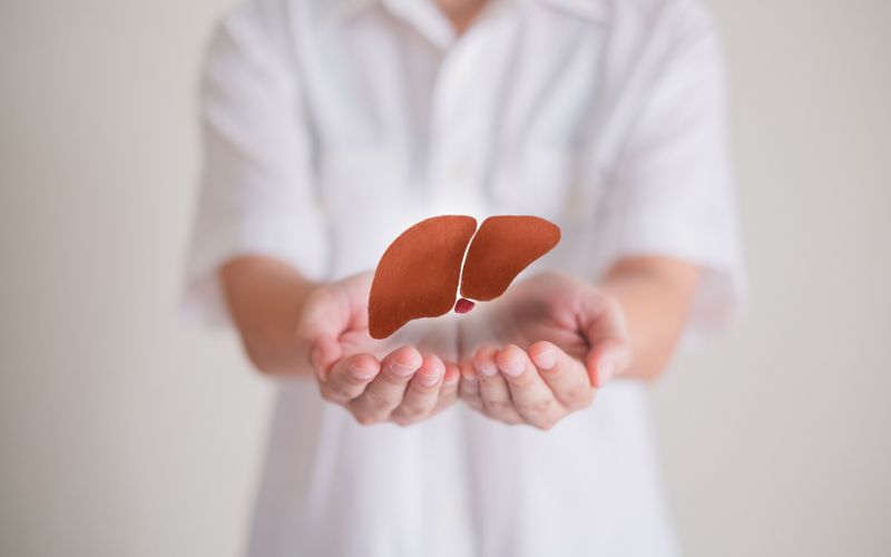 Maladie du foie gras: il existe deux types de pathologies (MASH)