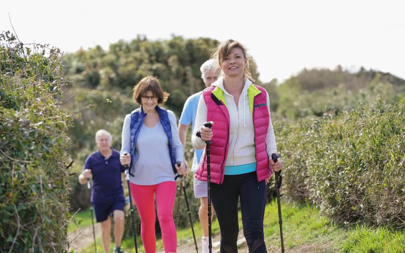 Comment s'inscrire aux activités gratuites du programme "Voila l'été si on bougeait" pour les seniors?
