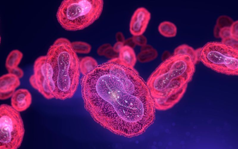 Épidémie de Mpox (variole du singe): faut-il se faire vacciner?