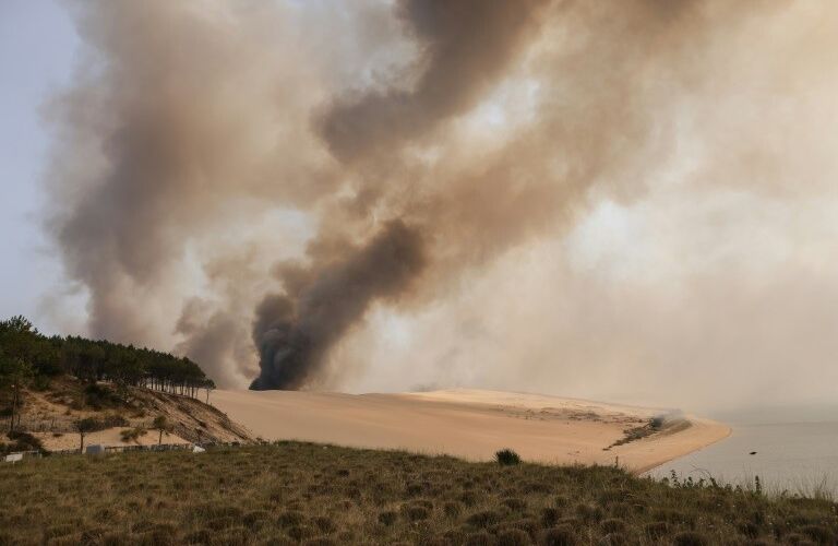 Feux de forêt: comment les prévenir