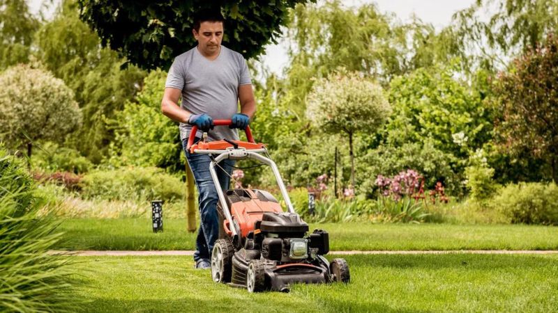 tondeuse à gazon