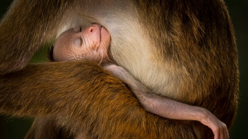 Un moment de sérénité
