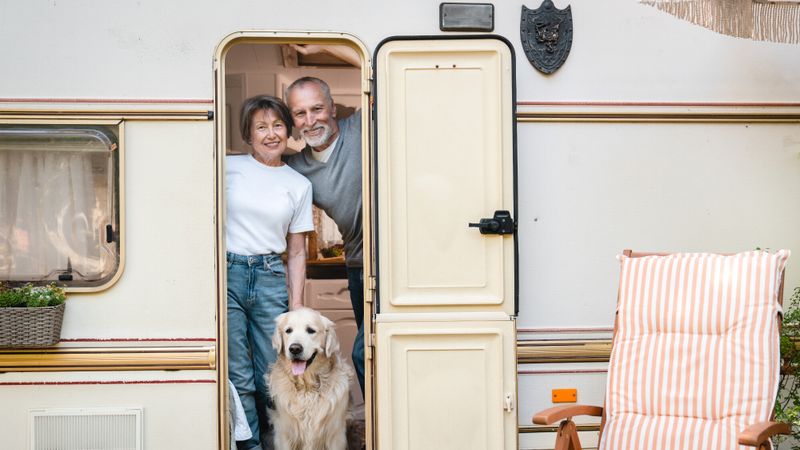 vacances chien caravane camping